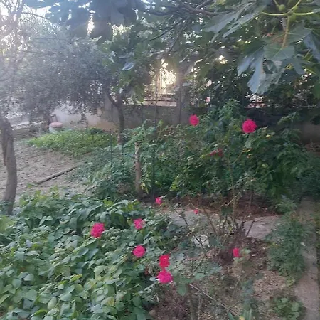 Holiday Apartment Διαμέρισμα