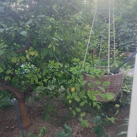 Holiday Apartment